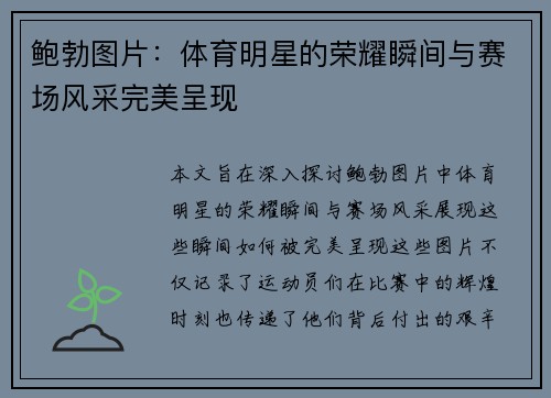 鲍勃图片：体育明星的荣耀瞬间与赛场风采完美呈现