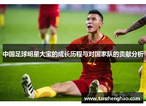 中国足球明星大宝的成长历程与对国家队的贡献分析