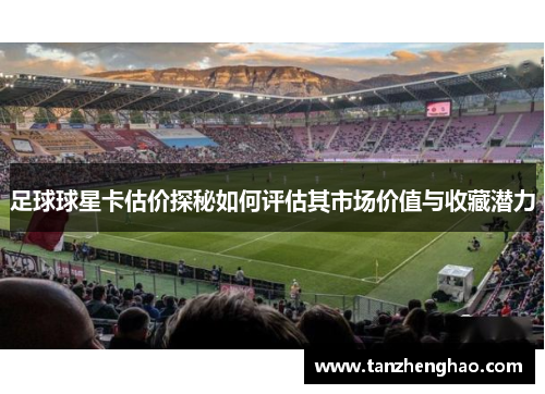 足球球星卡估价探秘如何评估其市场价值与收藏潜力